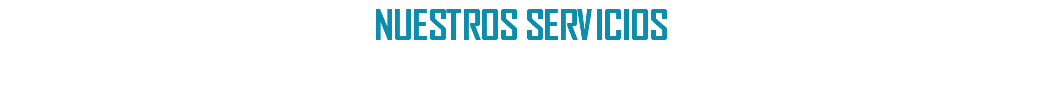 NUESTROS SERVICIOS